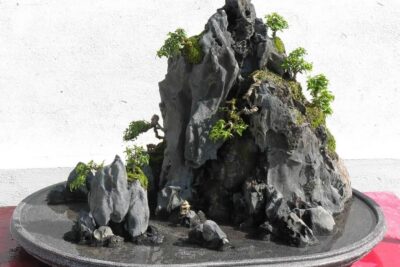 Cách Thiết Kế Hòn Non Bộ Đúng Chuẩn Phong Thủy