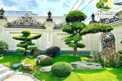 Implementing A Landscape Project For A Villa Owner At Lê Thành