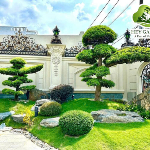 Triển khai dự án cảnh quan cho anh chủ biệt thự Lê Thành