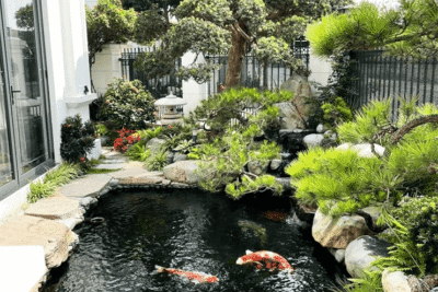 Koi pond design and construction in Củ Chi