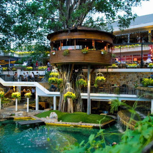 DỰ ÁN CẢNH QUAN QUÁN CAFE/SPA/SHOP