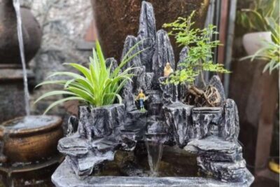 Detailed guide on how to make a simple rock garden (miniature landscape) at home