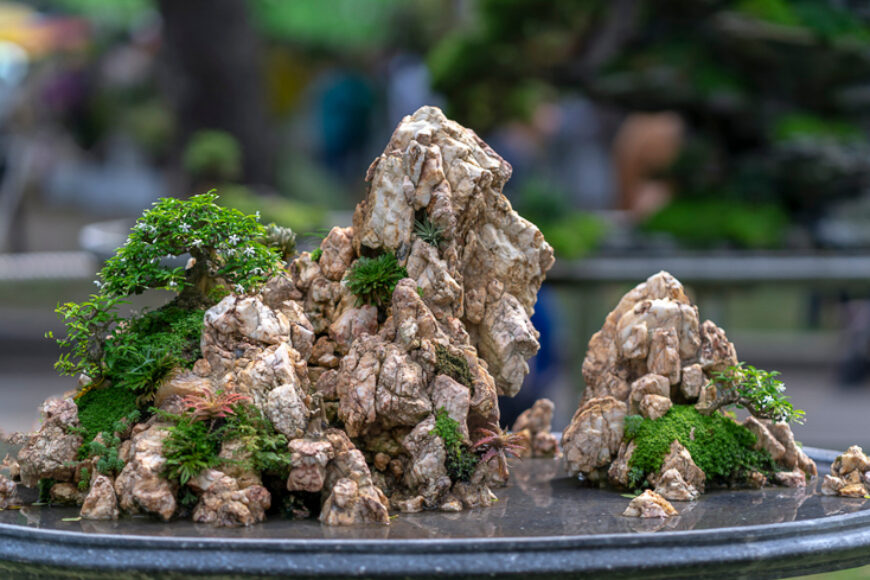 What is a Rock Garden? Feng Shui Meaning in Residential Spaces
