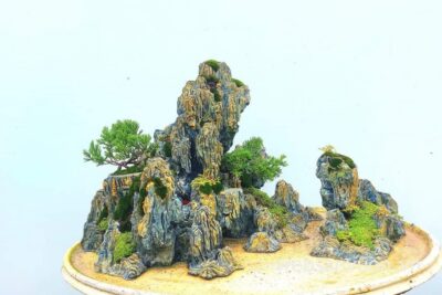 Top 10 Most Beautiful Rock Garden Designs of 2026