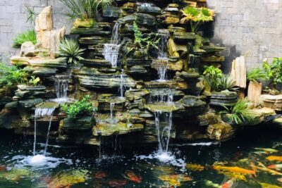 Compilation of the most beautiful rockery aquarium designs in 2026