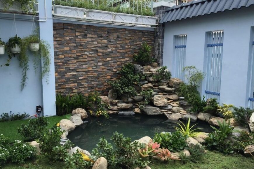 What plants should be used for rockery?
