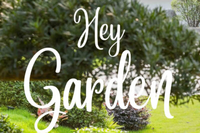 Why Do Customers Choose Hey Garden Among Hundreds of Landscape Contractors?