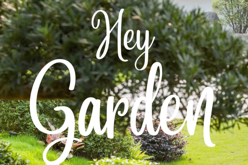 Why Do Customers Choose Hey Garden Among Hundreds of Landscape Contractors?