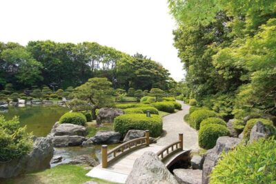 Understanding the Basic Principles of Landscape Design