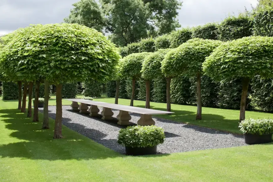Landscape Construction: Importance and Effective Execution Methods