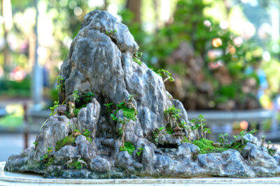 Top 10 Most Beautiful Rockery Designs Trending in 2026