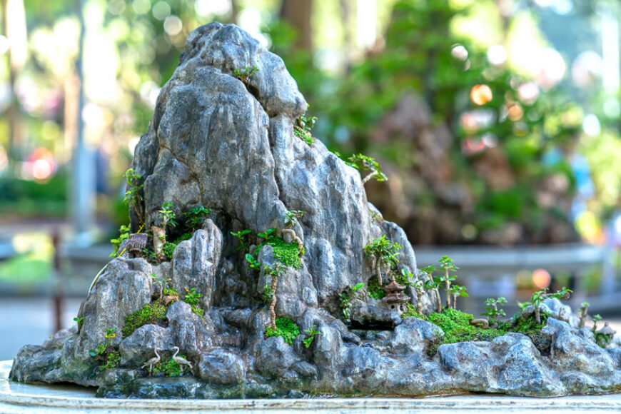 Top 10 Most Beautiful Rockery Designs Trending in 2026